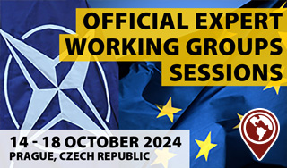 Official Working Groups' Sessions 2024